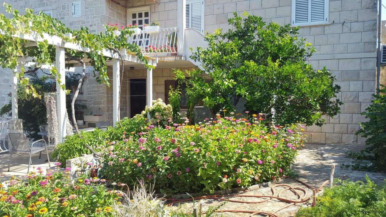 Apartment Tempera بوفليا المظهر الخارجي الصورة
